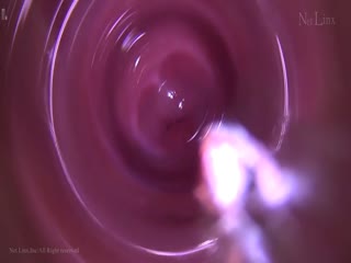 N1324 TOKYO HOT 激情羞辱的极致 秘 内部视频专刊 part1